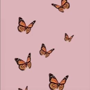 Meet your Posher, Charlotte